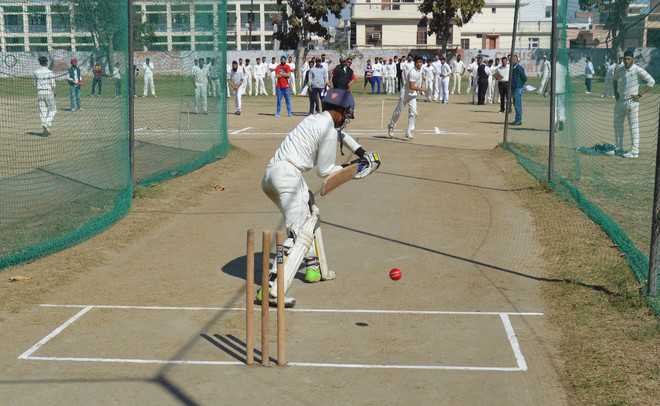 cricket trial ccl